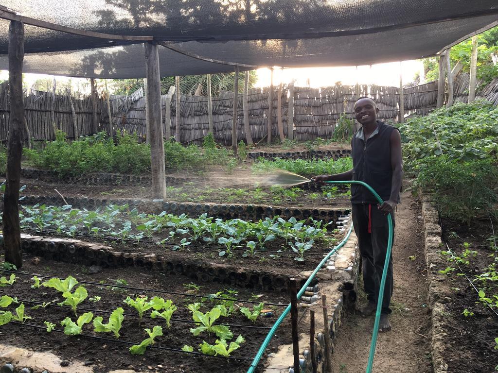דירות לאמו Banana Shamba Estate מראה חיצוני תמונה